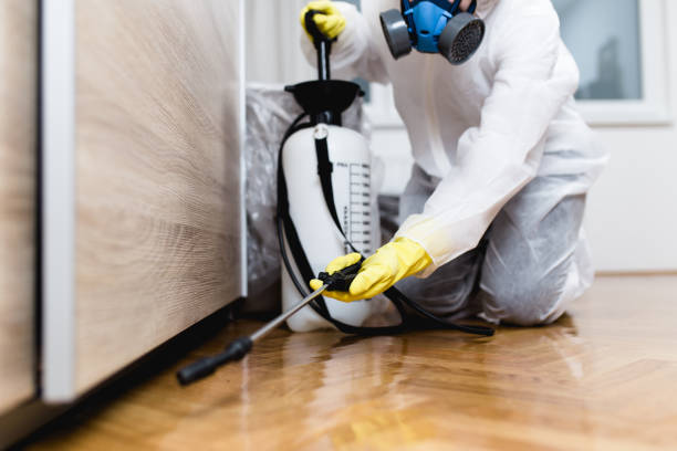 Best Flea Control Services  in Windom, MN