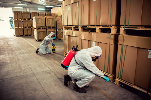 Best Local Pest Control Services  in Windom, MN