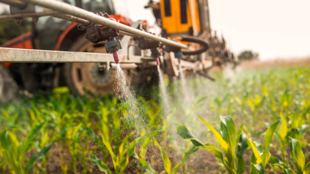 Best Commercial Pest Control Services  in Windom, MN