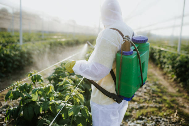 Wildlife Control Services in Windom, MN